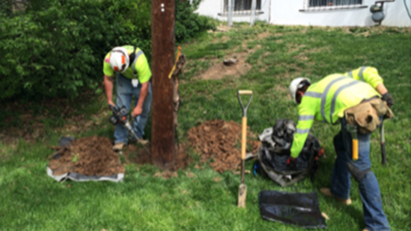 Ameren (Illinois and Missouri)